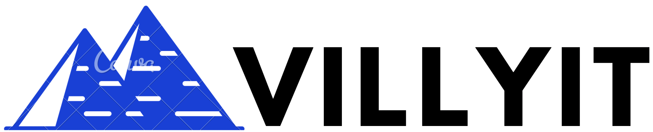 Villyit